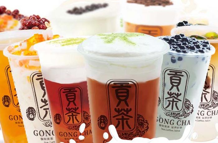景东贡茶培训